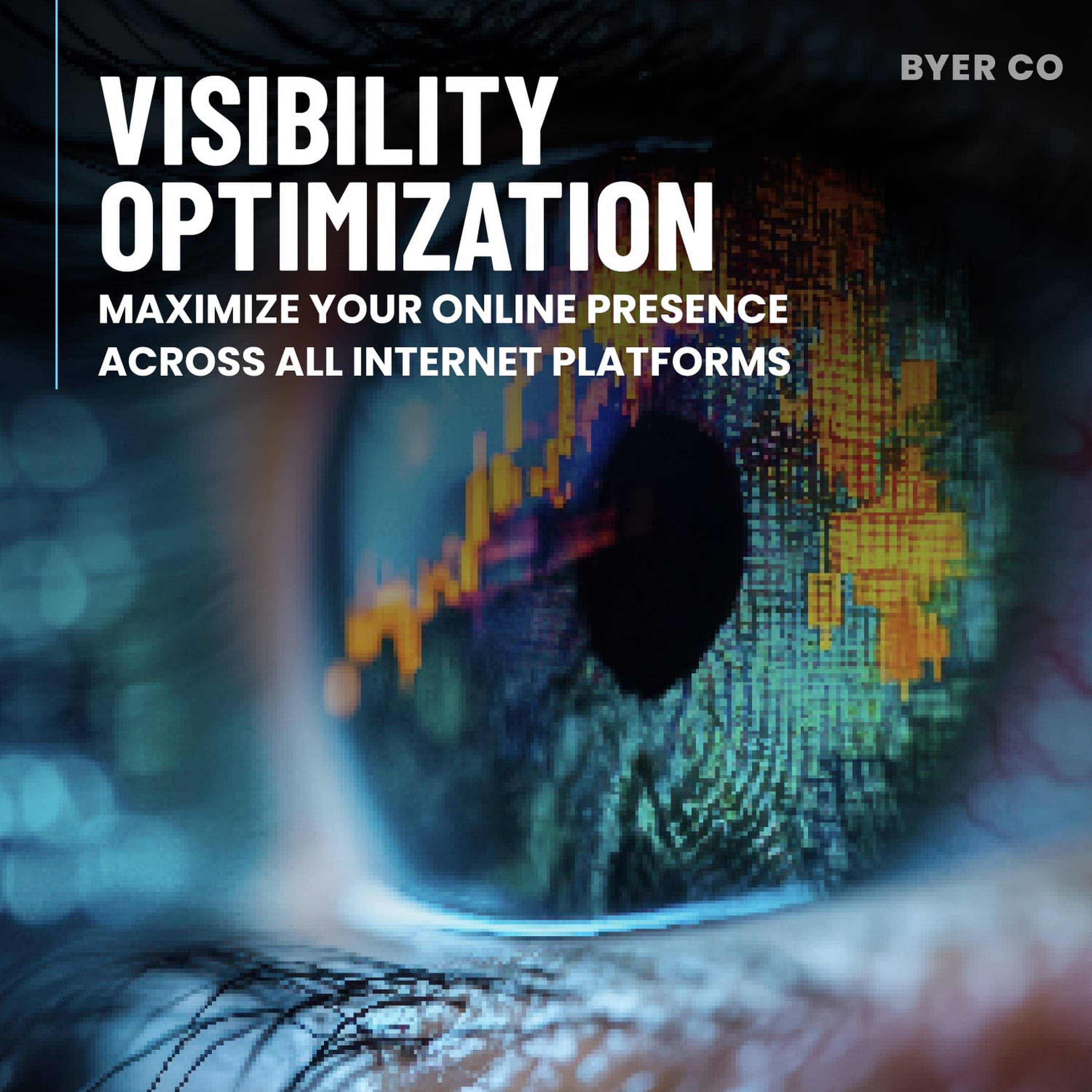 Visibility Optimization