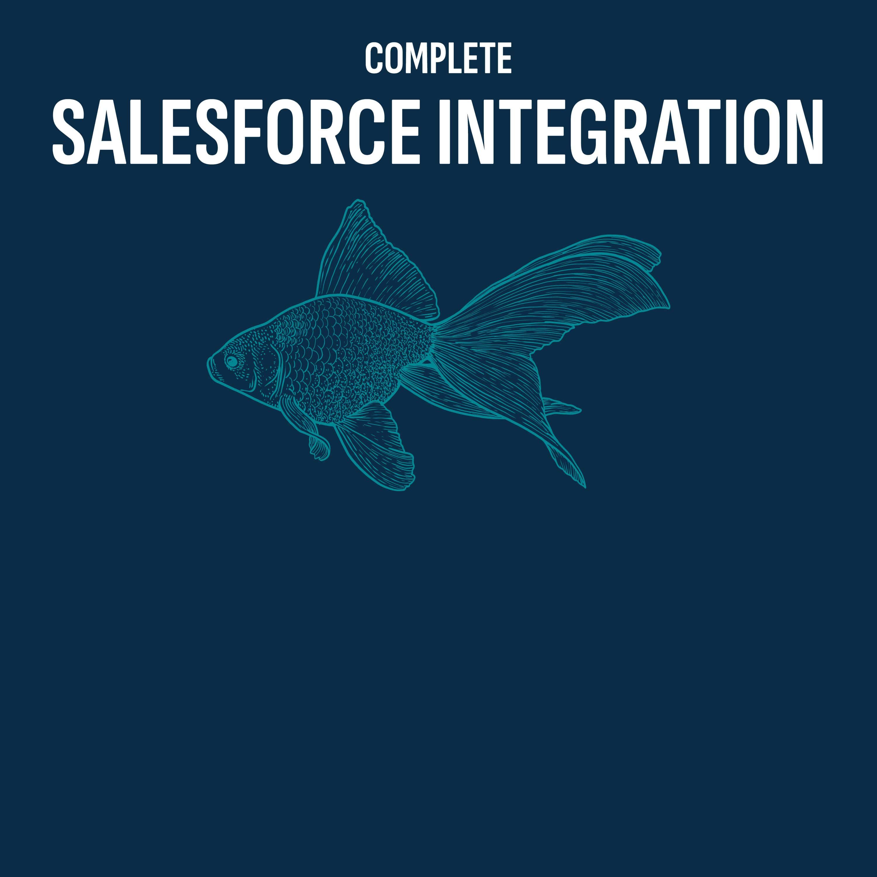 Complete Salesforce Ecosystem Integration: Zero Data Loss Architecture